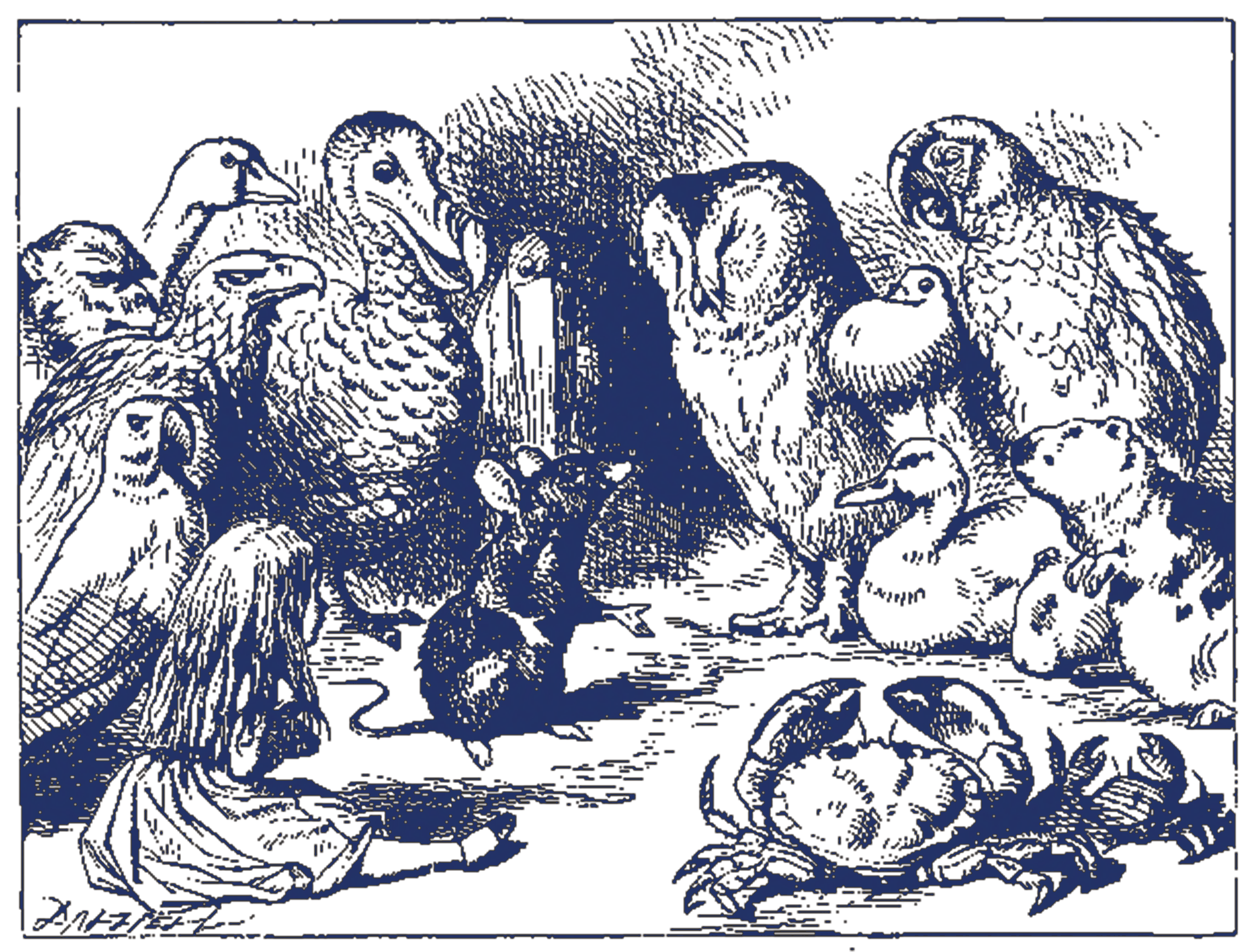 Birds Meeting